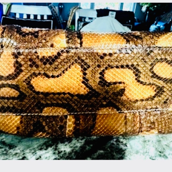 Gucci Large Sukey Python Leather!!! EXCELLENT CONDITION!! AMAZING PRICE!!!! - Picture 2 of 16